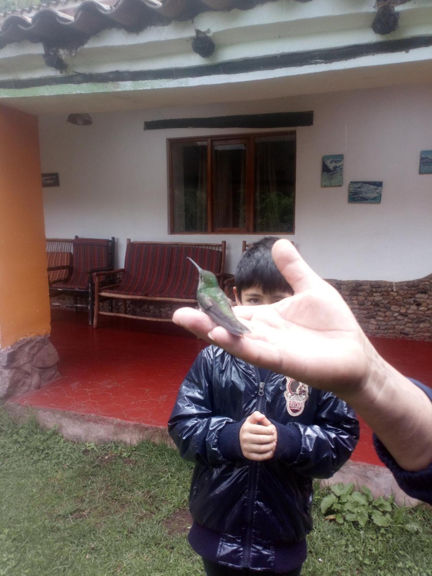 Ecolodge Ccatan Urubamba Dış mekan fotoğraf