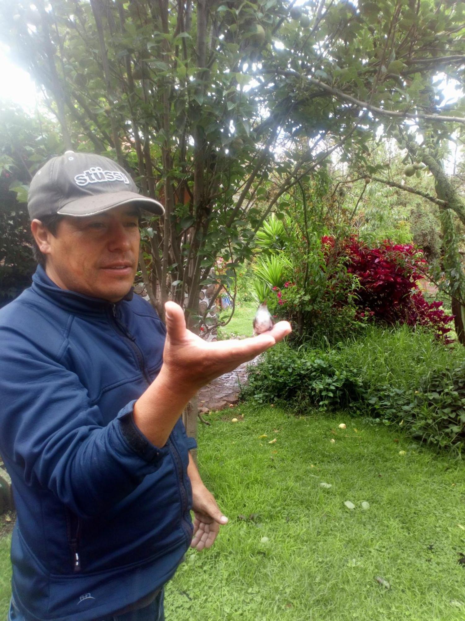 Ecolodge Ccatan Urubamba Dış mekan fotoğraf