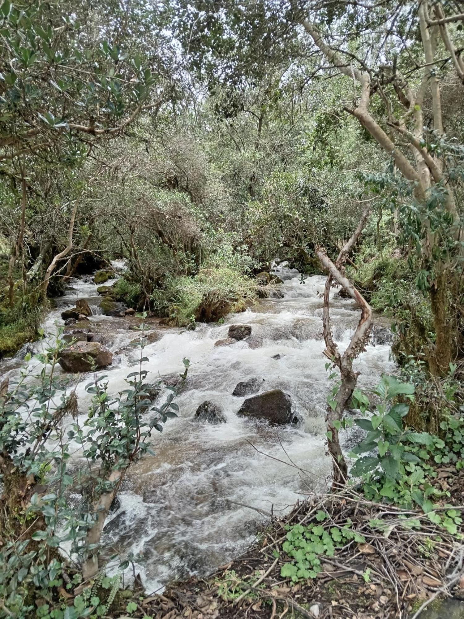 Ecolodge Ccatan Urubamba Dış mekan fotoğraf